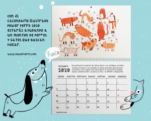 calendario solidario ilustrado perros y gatos